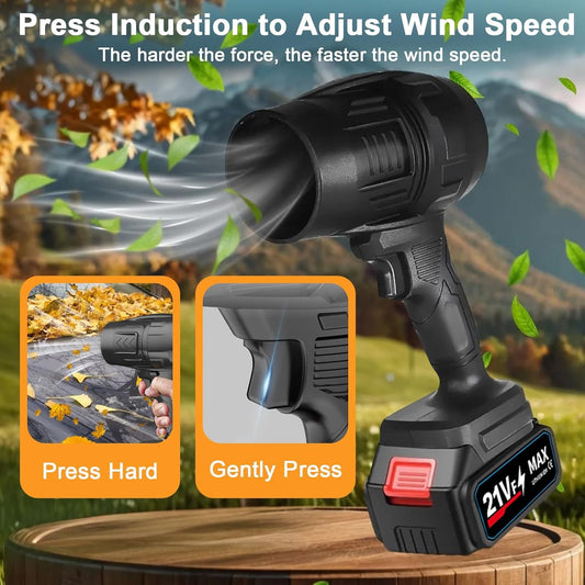 Jet Blower with Charger & 2 x Battery - My Store